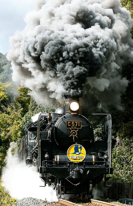 1Y4A0366_edit.jpg