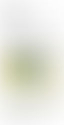 AA-Projective Cities Architectural Association London