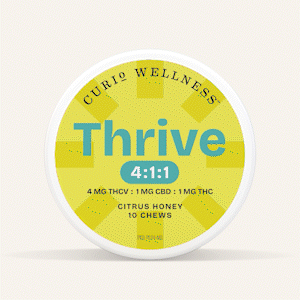 Curio_Chews_portfolio_1