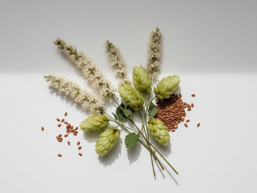 Supplement Savvy: A Closer Look at Menopause Complete with DAO — and What Every Ingredient Actually Does