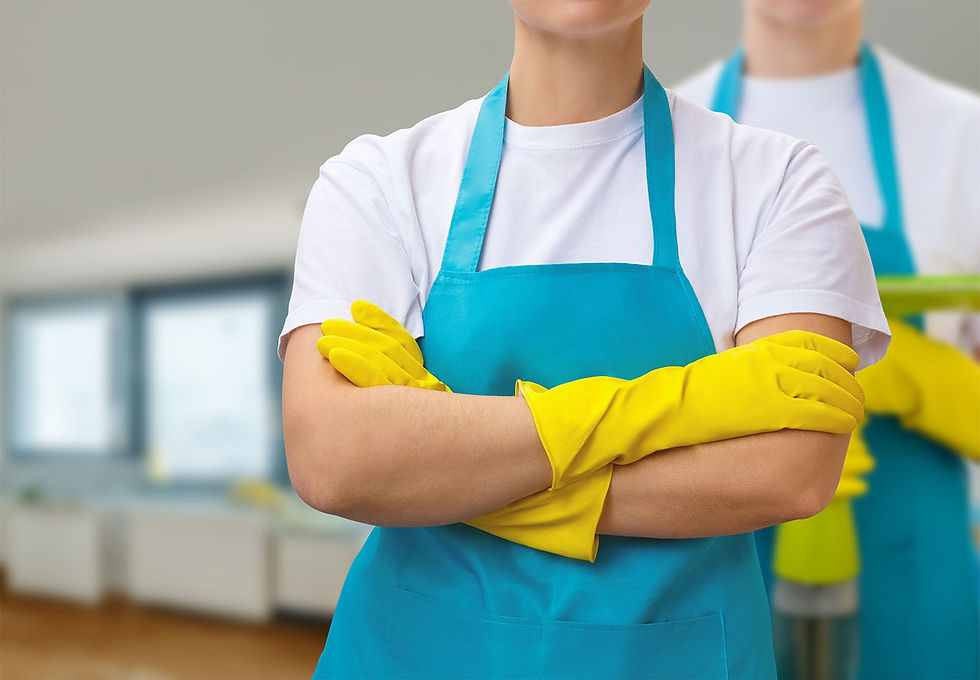 Professional Dustbusters cleaning Arlington team in aprons