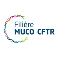 Actus_Filiere.webp