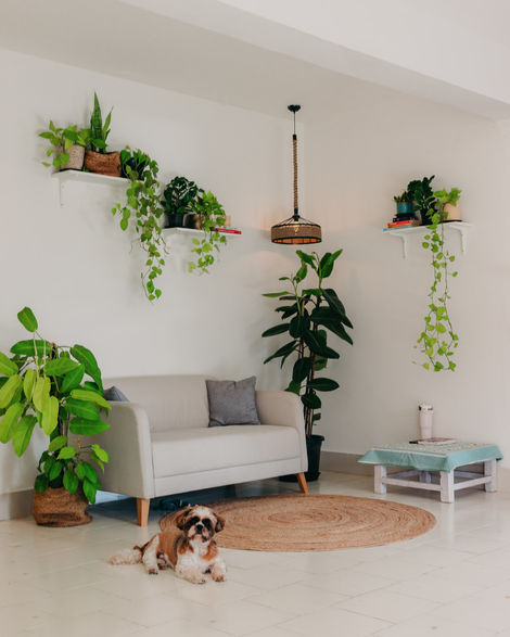 20240615 - IMG_5978 - Raj Kashyap