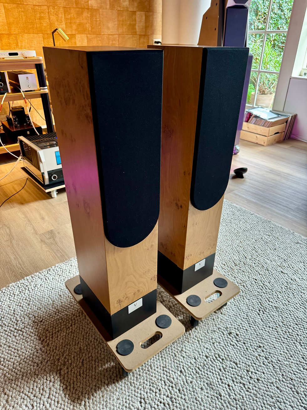 Thumbnail: Living Voice IBX-R4