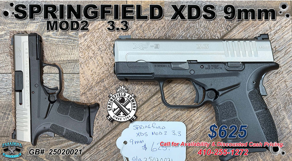 SPRINGFIELD XDS 9mm 25020021