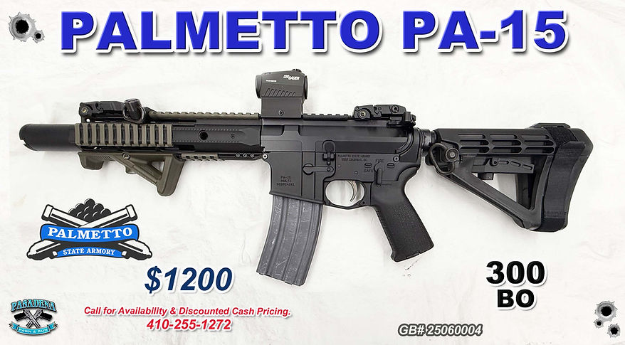 PALMETTO STATE ARMORY - PSAPA-15