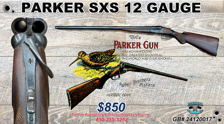 Parker SXS Shotgun 12G 24120017