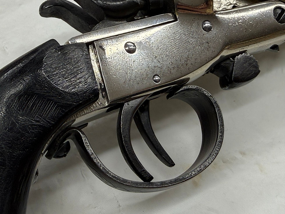 Rossi Garrucha in .22LR