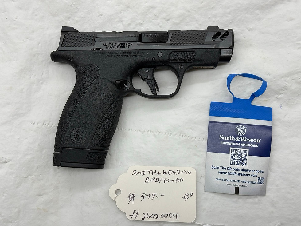S&W Bodyguard 2.0 Carry Comp in .380