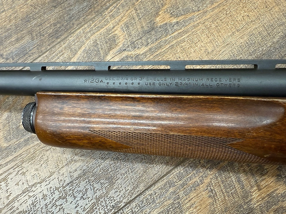 IMG_5270 Remington 870 Express 12 gauge magnum 25080064  Large