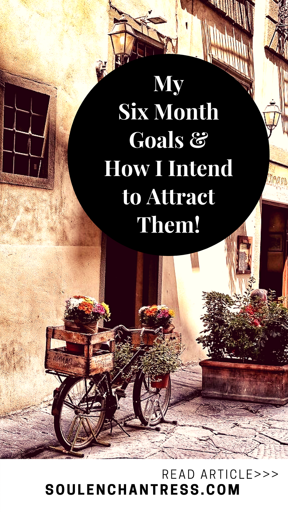 how to set goals, how to achieve goals, my six month goals and how I intend to achieve them, soul enchantress, attract love, attract money, how to attract your desires, paris, florence, jimmy choo, laboutin
