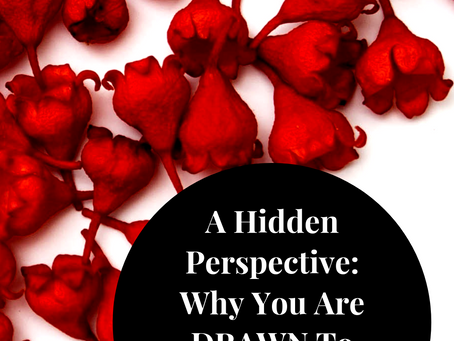 WHY YOU ARE DRAWN TO VIOLENT MOVIES - A HIDDEN PERSPECTIVE