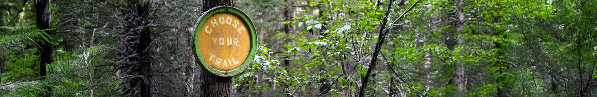 Green and yellow sign on a tree in a forest with the words "choose your trail