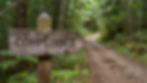 Trail winding through a forest with a signpost labelled "compliance"