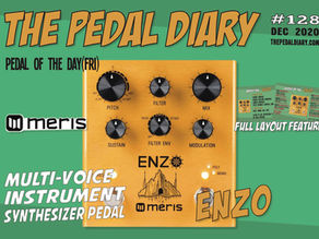 Meris ENZO full layout feature(pedal review) | Pedal of the Day Fri by The Pedal Diary