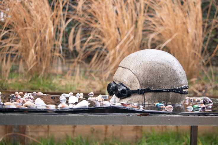 Installation artistique représentant une tête sculptée en argile avec un bonnet de bain et des lunettes de natation, partiellement immergée dans l'eau avec des coquillages. Œuvre contemporaine interrogeant la montée des eaux et notre rapport à l'environnement. Art engagé, sculpture environnementale, changement climatique.