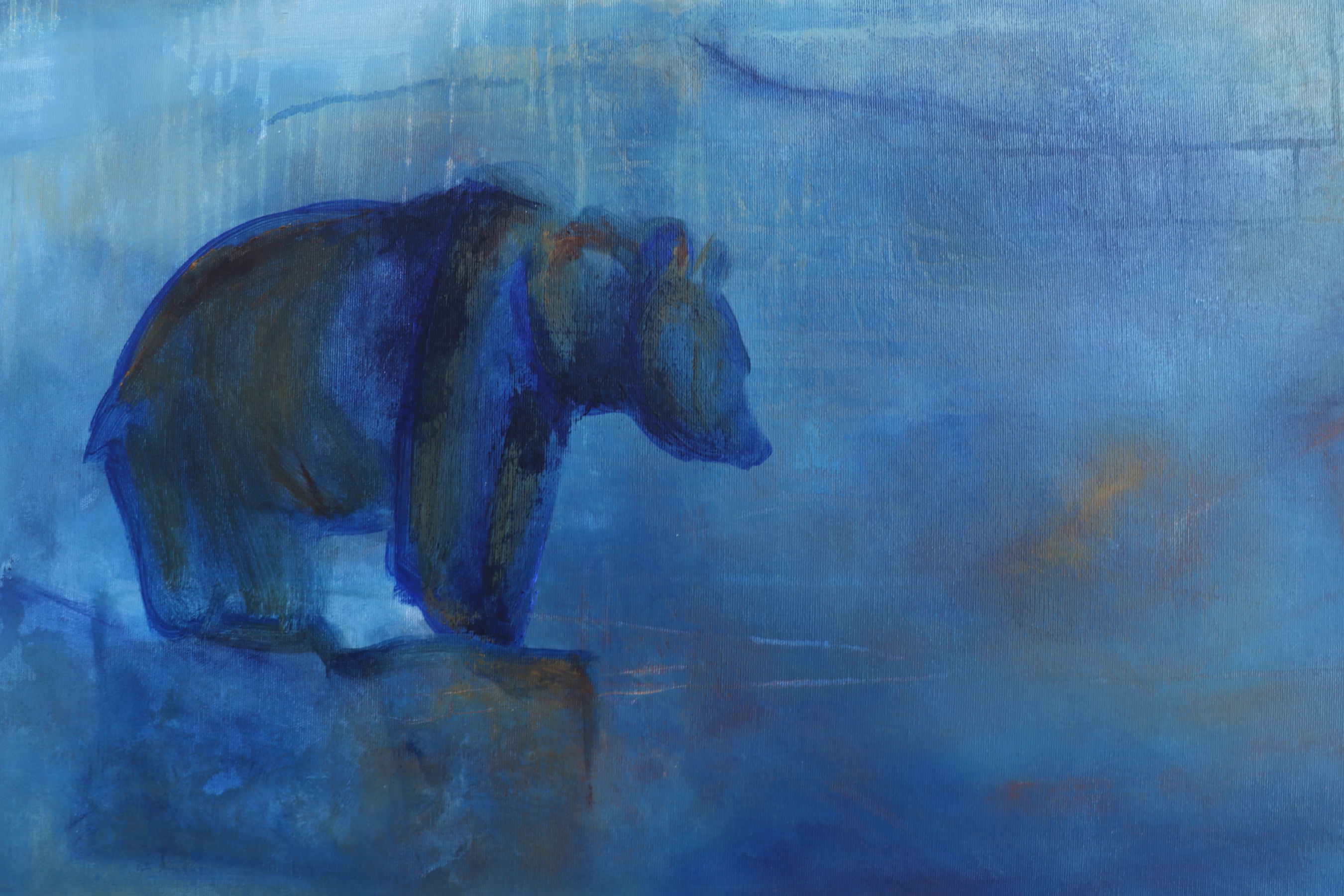 Reproduction - Reine #1