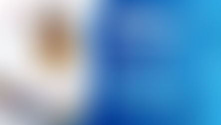 Ofertas de empleo - 18 de julio de 2022