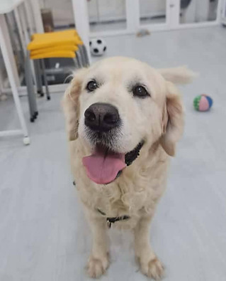 WhatsApp Image 2025-12-18 at 3.52.46 PM.jpeg