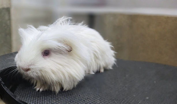 WhatsApp Image 2025-11-13 at 6.17_edited.jpg