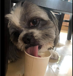 Screen Shot 2019-11-04 at 15.07.29.png