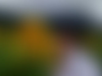 Primeiro capítulo!!!