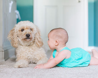 子供と犬_edited.jpg
