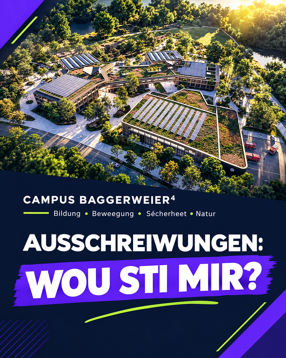 BAGGERWEIER: MARCHÉS PUBLICS