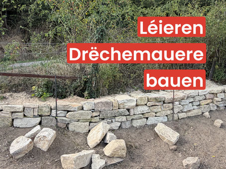 LÉIEREN DRÉCHEMAUERE BAUEN
