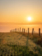 denfran sunset field fence pixabay.jpg