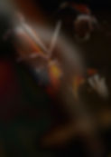EDSS Poster copy.jpg