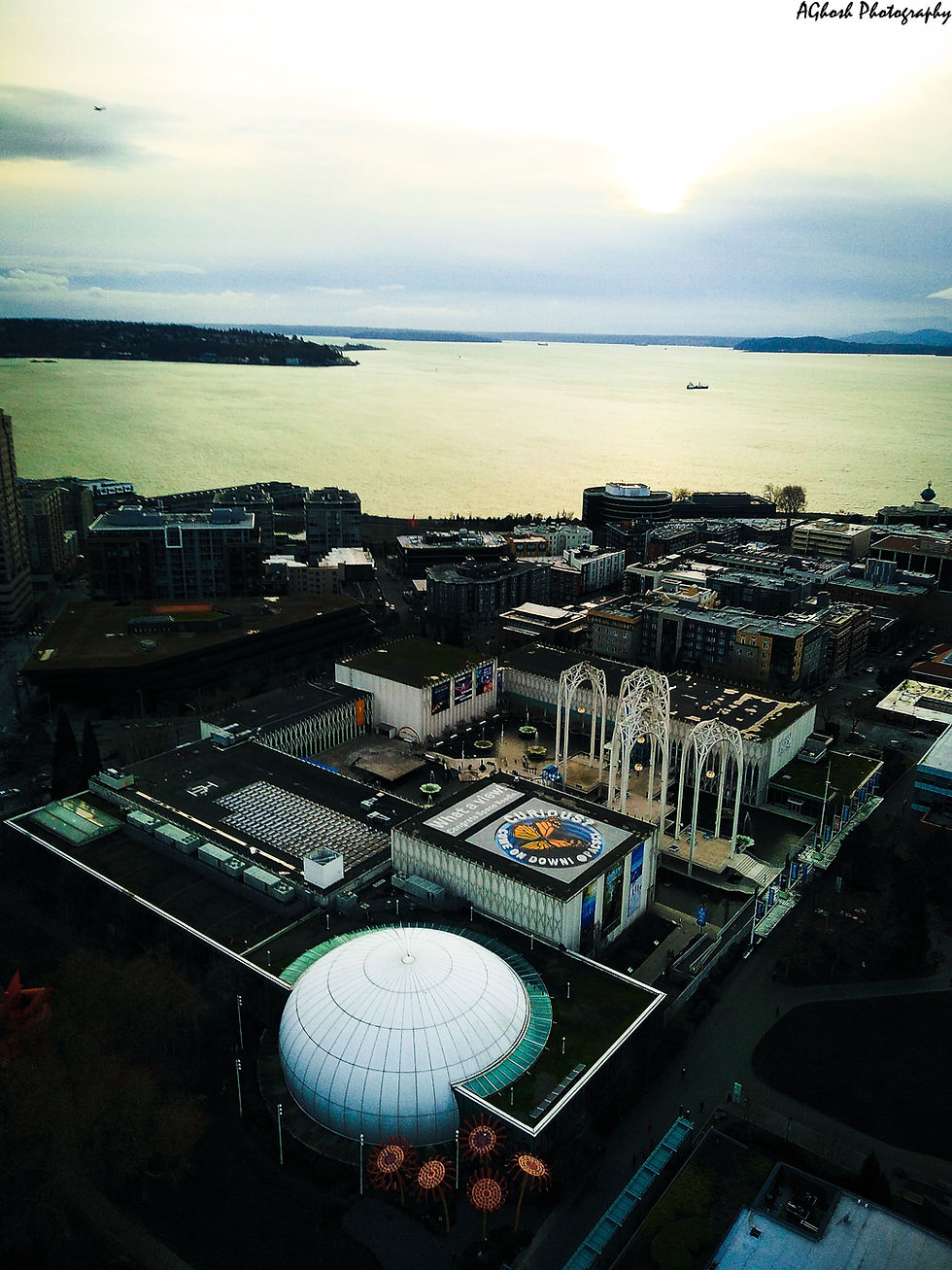 View of Puget Sound from Space Needle