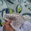 Миниатюра: Mix Summer 04 Silk/Cotton/Sequins