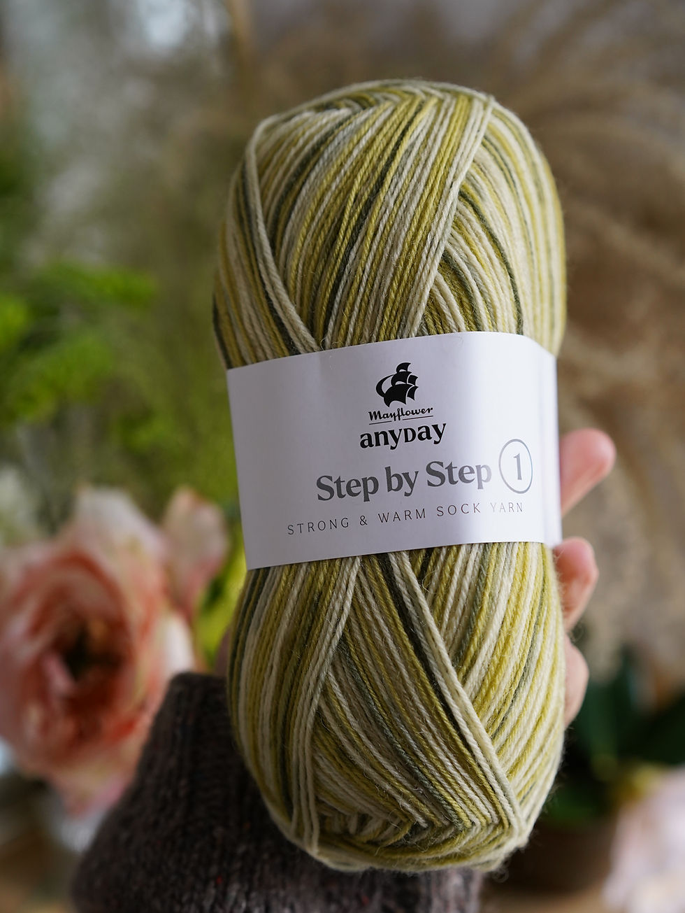 Миниатюра: Mayflower Anyday Step by Step