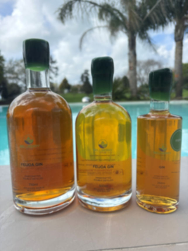 Feijoa GIn