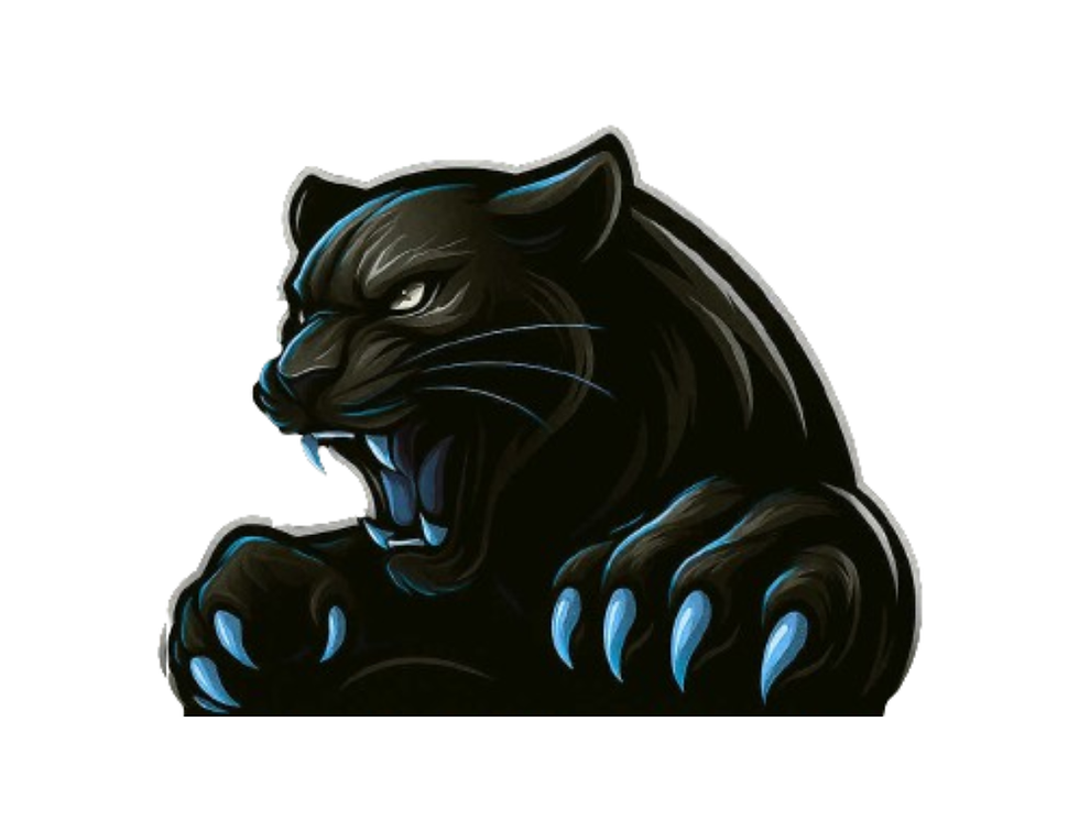 TRI-STATE PANTHERS