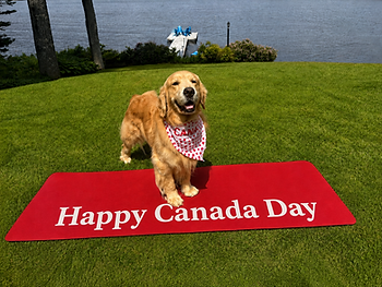 Happy Canada Day from Tavis