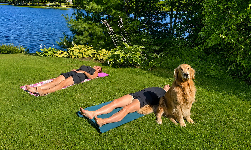 Tavis a golden retriever is sitting in front of two yogis laying in a Shavasana pose.