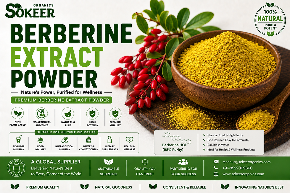 Berberine Extract Powder Manufacturers in Singapore | Sokeer Organics