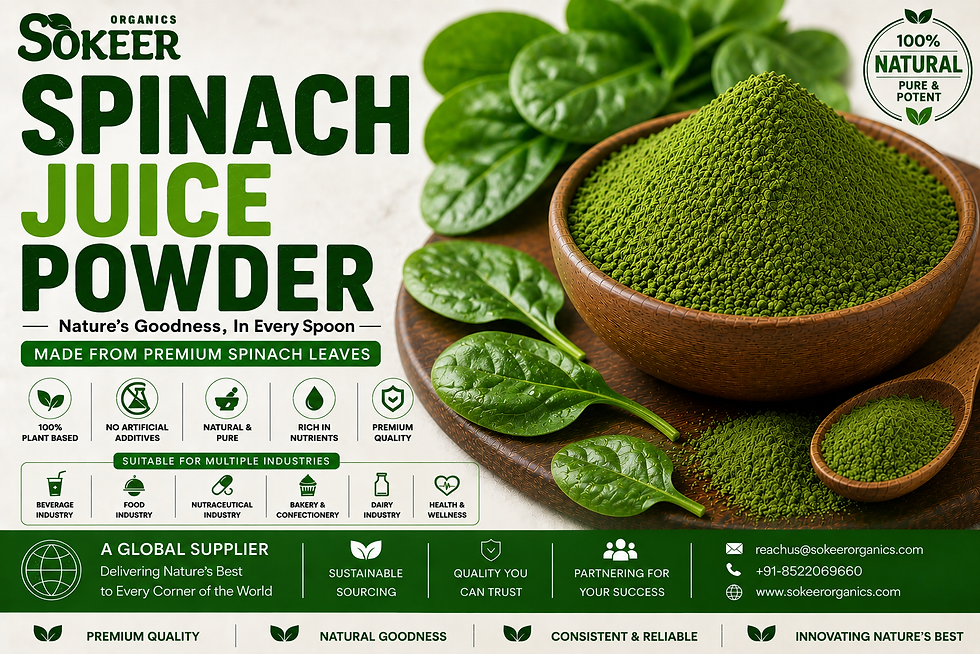 Spinach Juice Powder Manufacturers in Canada - Sokeer Organics
