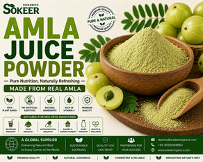 Amla Juice Powder Supplier in Canada | Sokeer Organics
