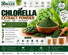 Chlorella Extract Powder Manufacturers in USA | Sokeer Organics