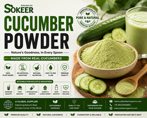 Cucumber Powder Manufacturer in Australia | Sokeer Organics