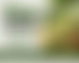 Cucumber Powder Manufacturer in Australia | Sokeer Organics