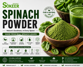 Spinach Powder Manufacturer in Australia | Sokeer Organics