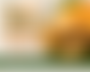 Orange Juice Powder Manufacturers in Canada | Sokeer Organics