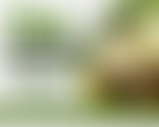 Lime Juice Powder Supplier in Australia | Sokeer Organics