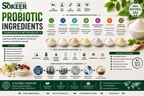 Probiotic Ingredient Suppliers in Canada | Sokeer Organics