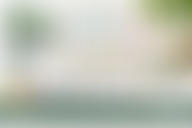 Probiotic Ingredient Suppliers in Canada | Sokeer Organics