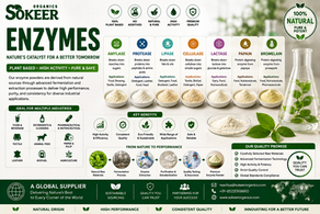 Food Enzyme Manufacturers in Canada | Sokeer Organics